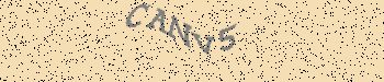An error has occurred while getting captcha image