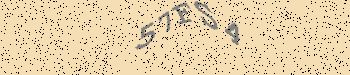 An error has occurred while getting captcha image