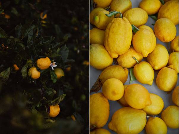 En bild som visar frukt, citrus, Naturlig mat, gr&ouml;nsaker

AI-genererat inneh&aring;ll kan vara felaktigt.