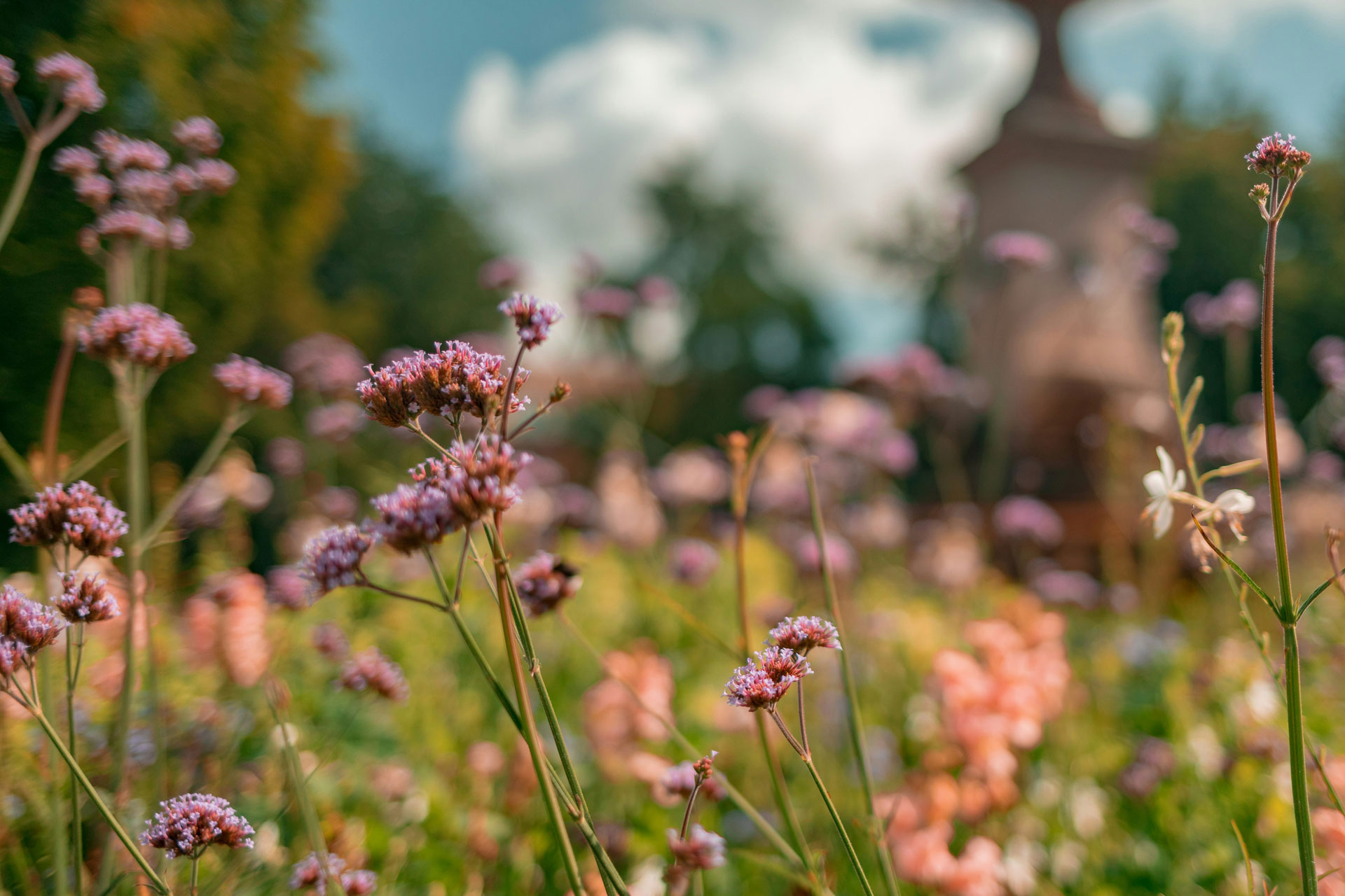 Bästa poddarna för dig som jobbar i trädgårdsbranschen