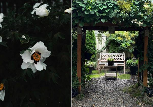 En bild som visar träd, utomhus, trädgård, bänk
AI-genererat innehåll kan vara felaktigt.