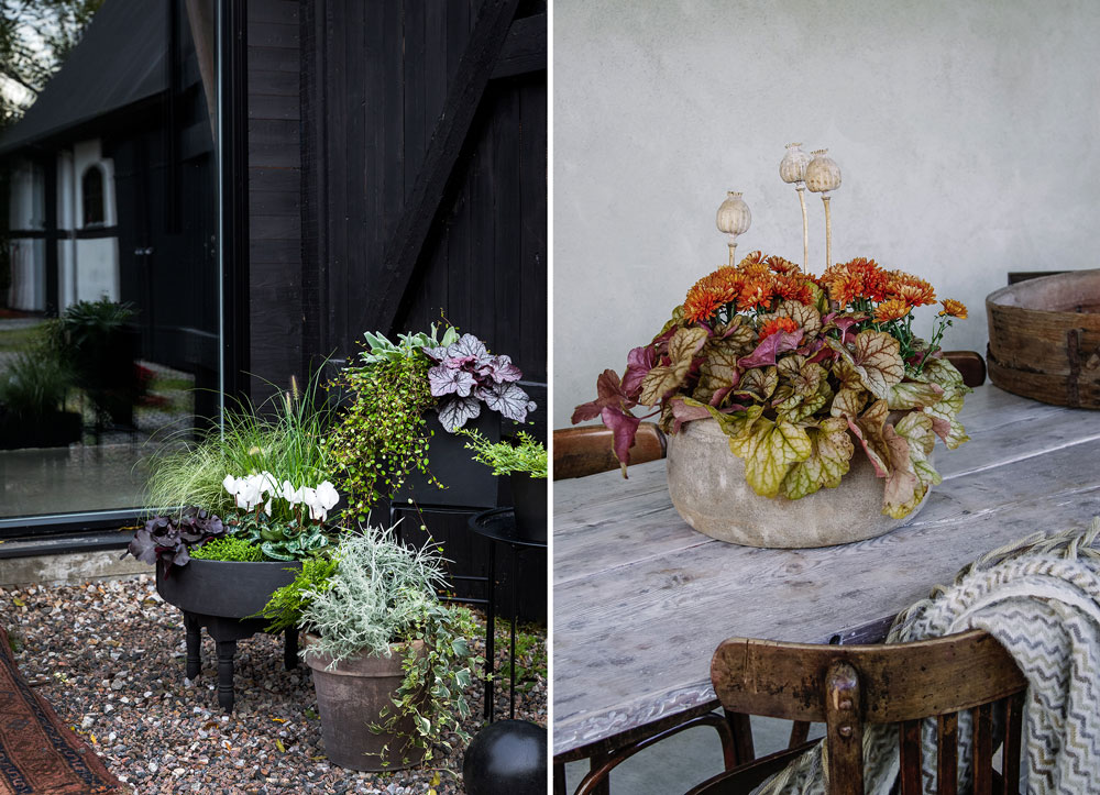 Sju krukor till höstens planteringar