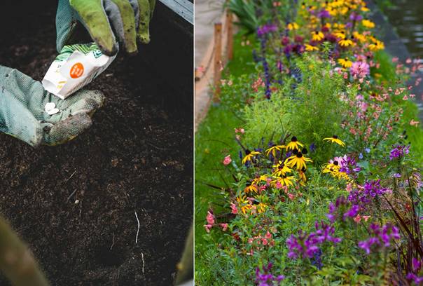 En bild som visar trädgård, blomma, utomhus, växt
AI-genererat innehåll kan vara felaktigt.