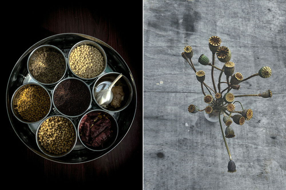 En guide till att skörda och spara fröer för nästa säsong