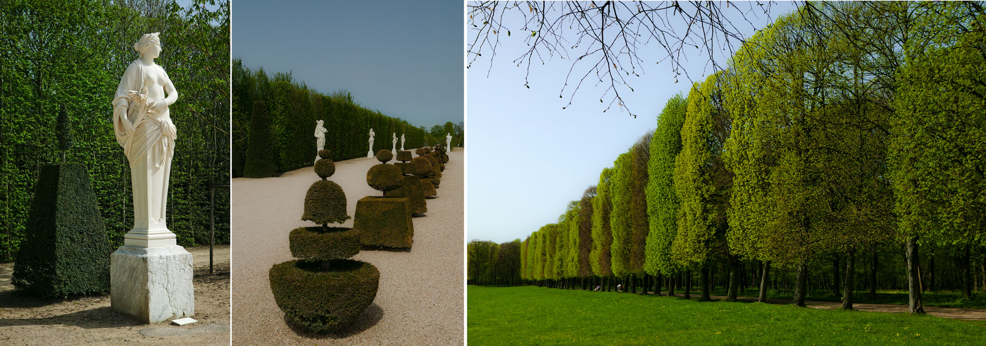 Trädgårdsdesign med barrväxter: Struktur och grönska i vinterträdgården