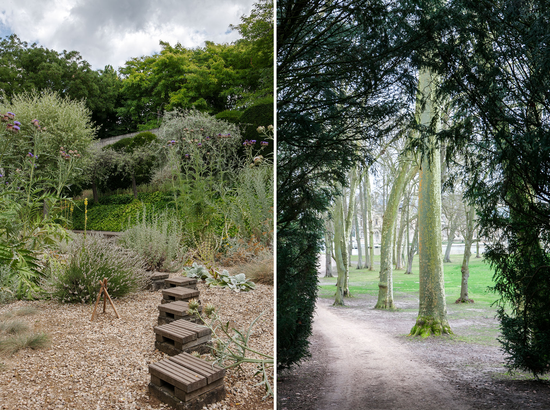 Skapa platser i naturen för utomhusceremonier - bröllop, namngivningar och riter
