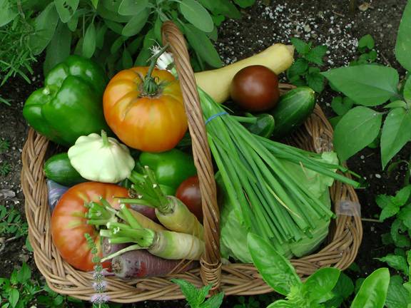 En bild som visar grönsaker, Naturlig mat, Närproducerat, Vegannäring
AI-genererat innehåll kan vara felaktigt.