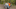 /contentassets/57821b77d1de49c5b8c977f3e7f3b4fe/adigo_maskin.jpg