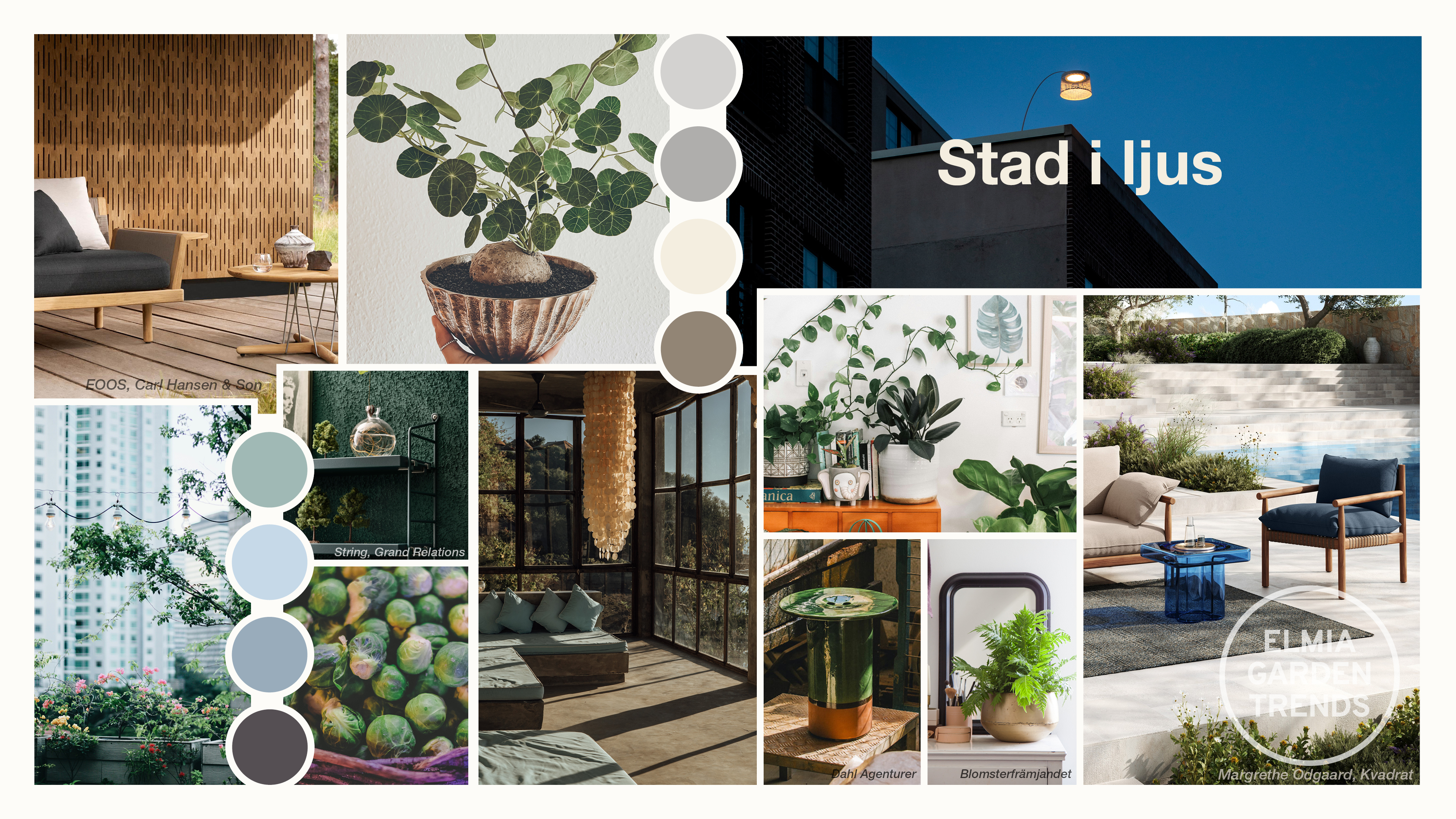 Trädgårdstrender 2026