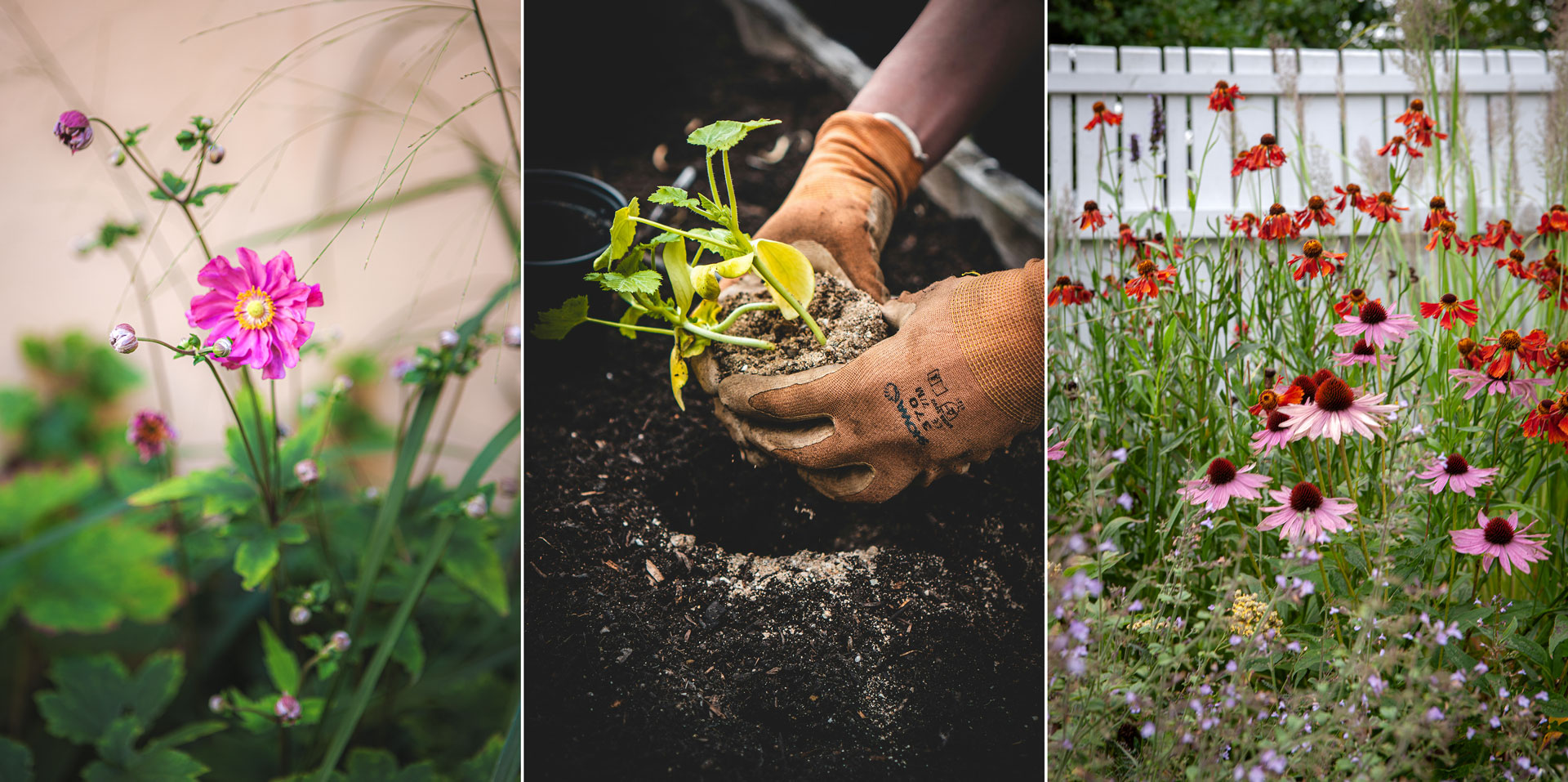 Stora Planteringsveckan är höstens höjdpunkt för trädgårdsälskare!