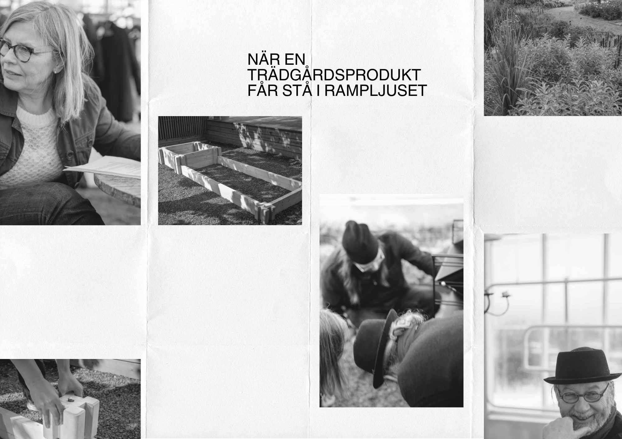 När en trädgårdsprodukt får stå i rampljuset