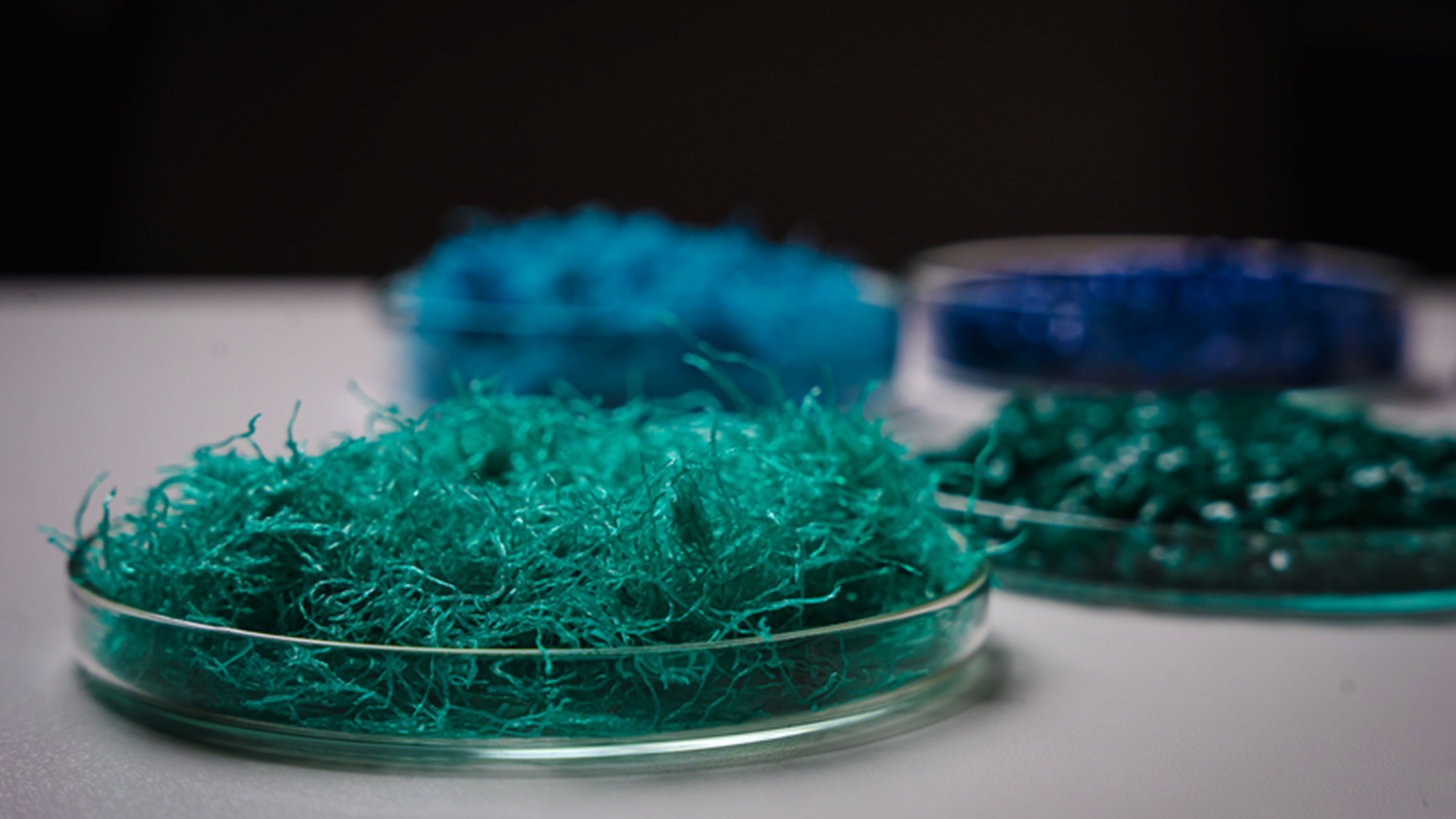 RISE presenterade “Nationellt center för hållbar plast” på Sustainability Arena