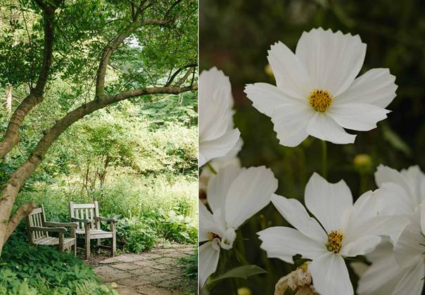 En bild som visar träd, växt, blomblad, utomhus
AI-genererat innehåll kan vara felaktigt.
