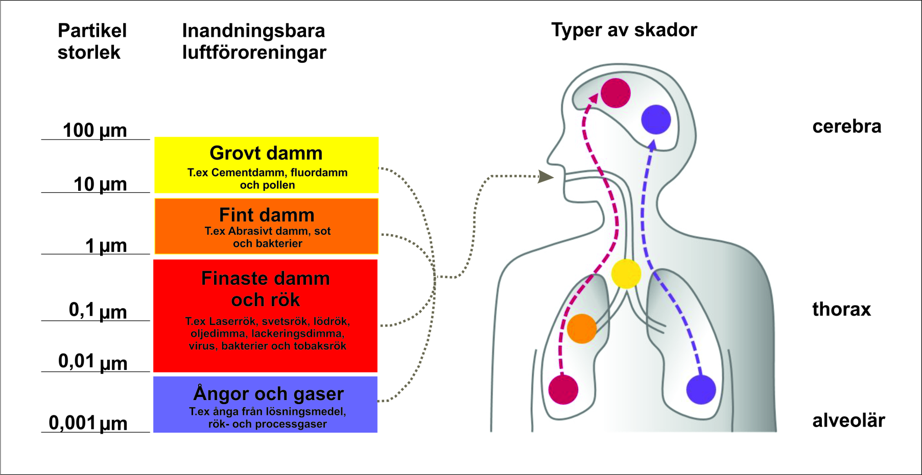 Skydda din personal från farliga partiklar som uppstår i er arbetsmiljö 