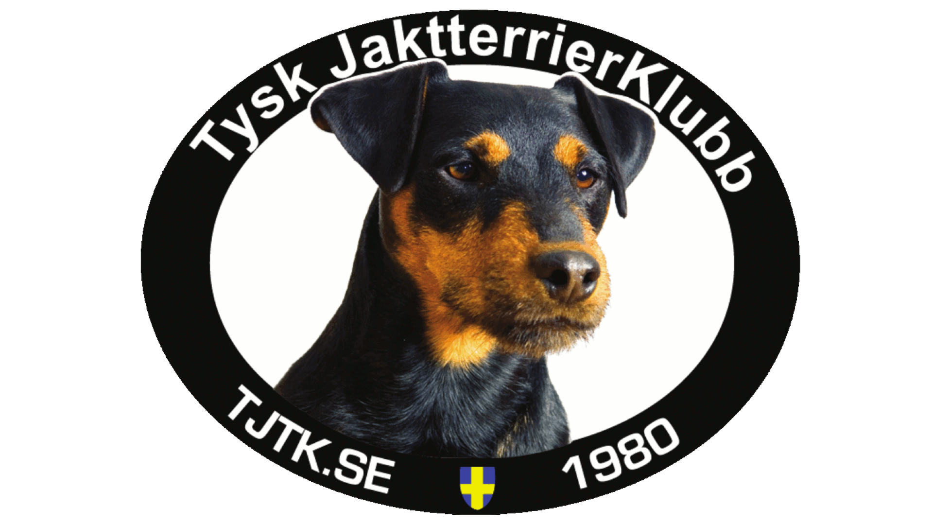 Tysk jaktterrier