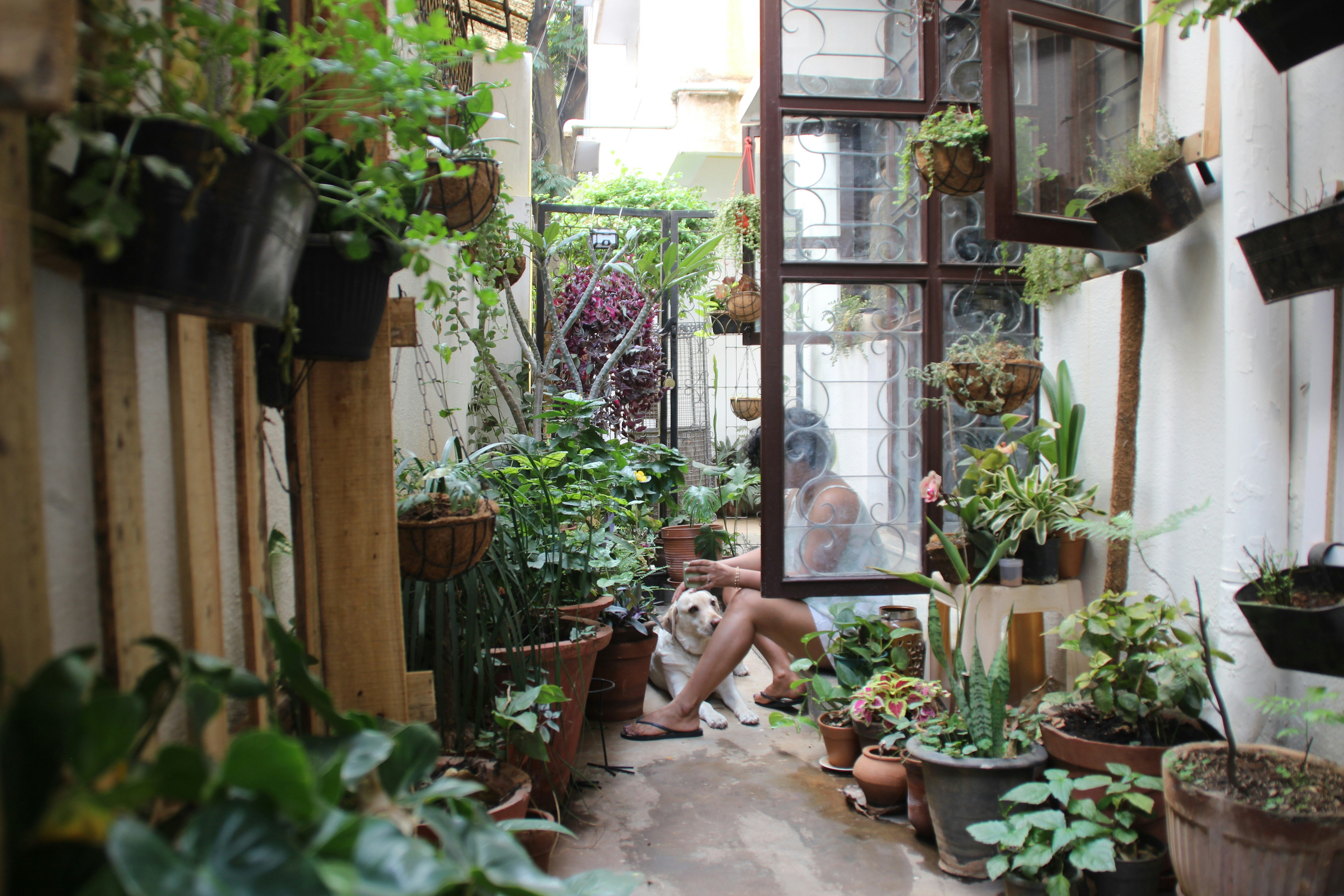 Smart trädgårdsdesign för små trädgårdar