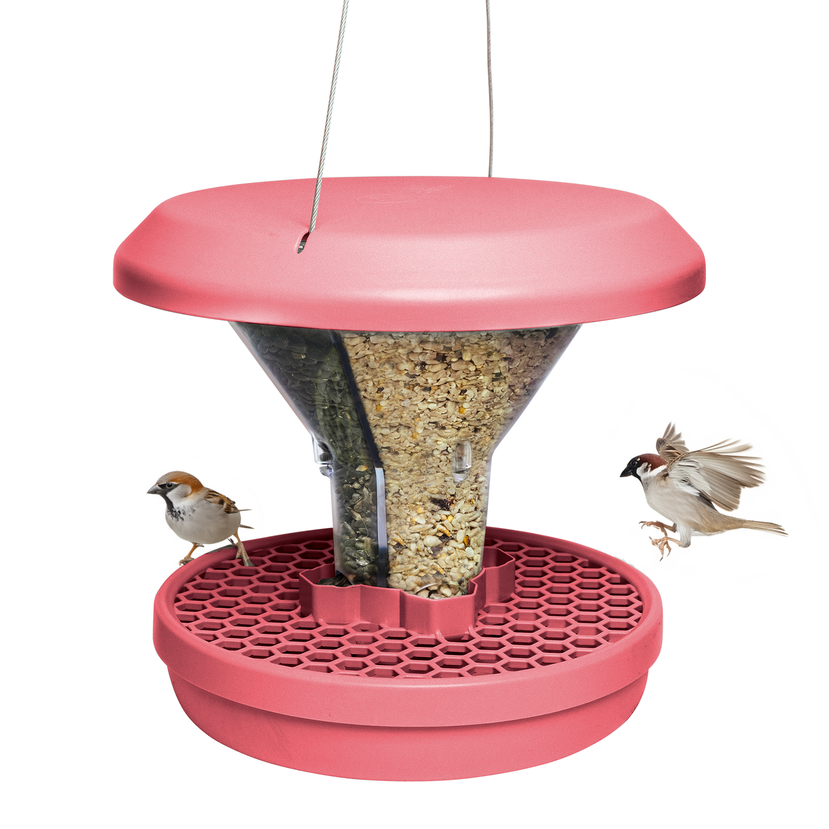 Swissinno Bird Feeder 