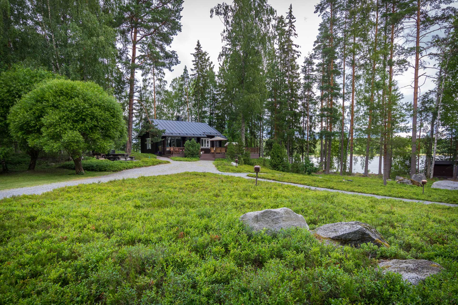 Plantera en skogsmatta och få in skogsmarken i trädgården
