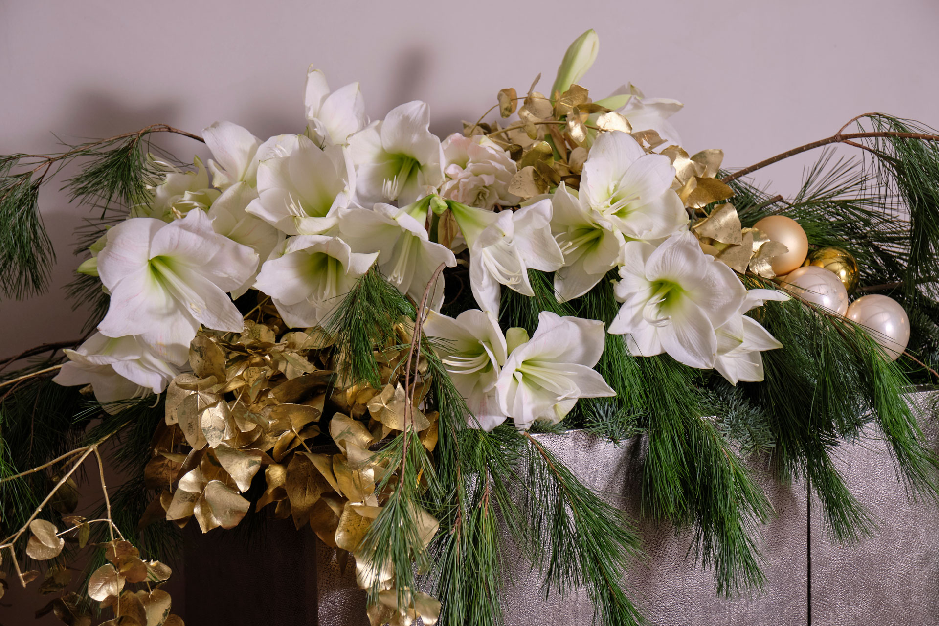 Älskade amaryllis – en stilfull klassiker som aldrig går ur modet