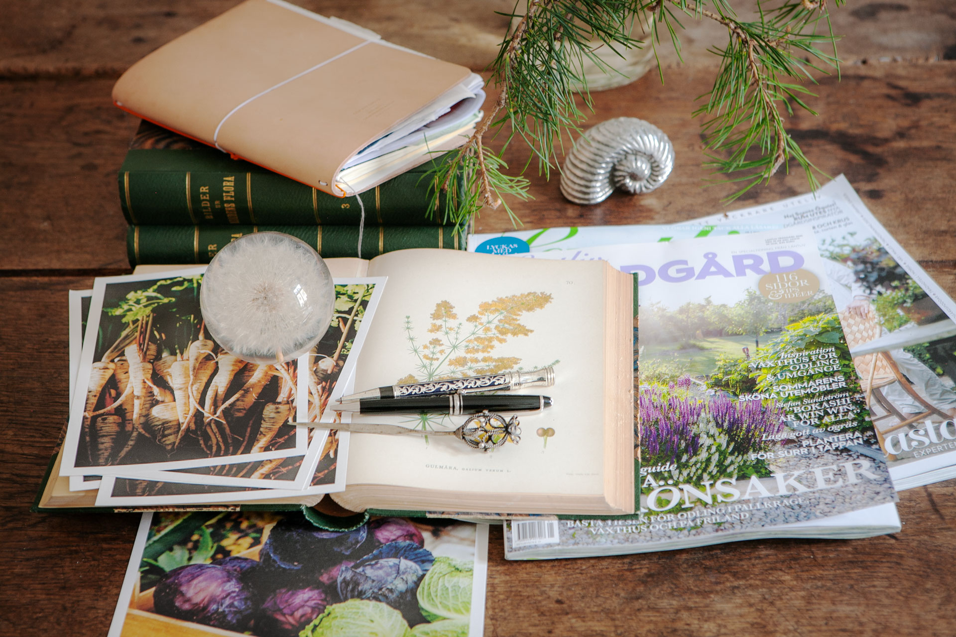 Trädgårdskurser 2025 – Från immunstärkande örter till historiska villaträdgårdar