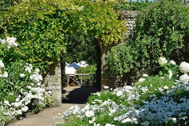 En bild som visar utomhus, träd, växt, buske
AI-genererat innehåll kan vara felaktigt.