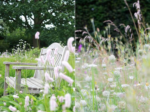 En bild som visar utomhus, växt, träd, gräs
AI-genererat innehåll kan vara felaktigt.