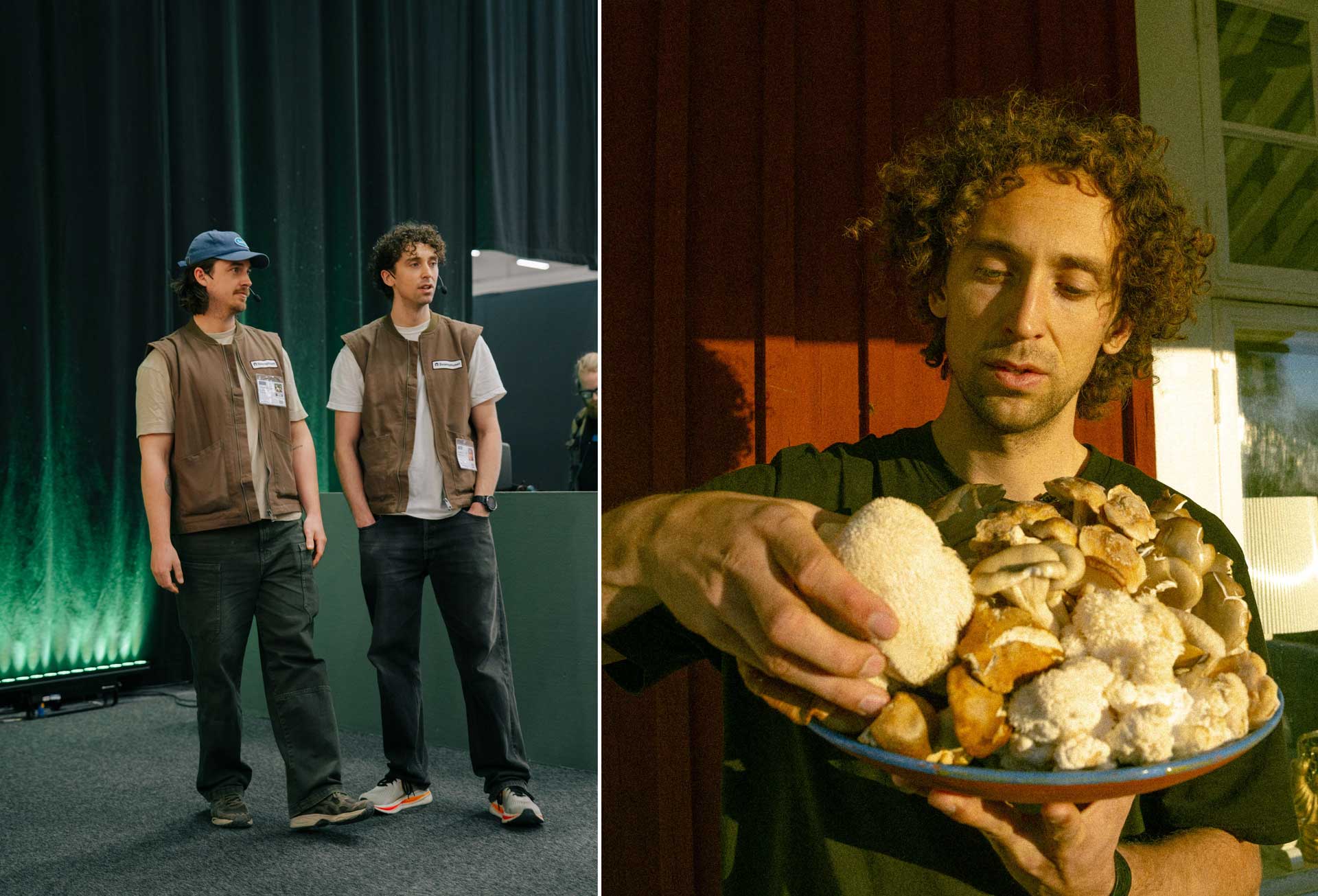 Att göra svampodling till allas nästa gröna vana – Så odlar du svamp hemma