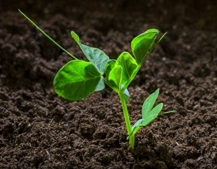 Etra - nu i Sverige!