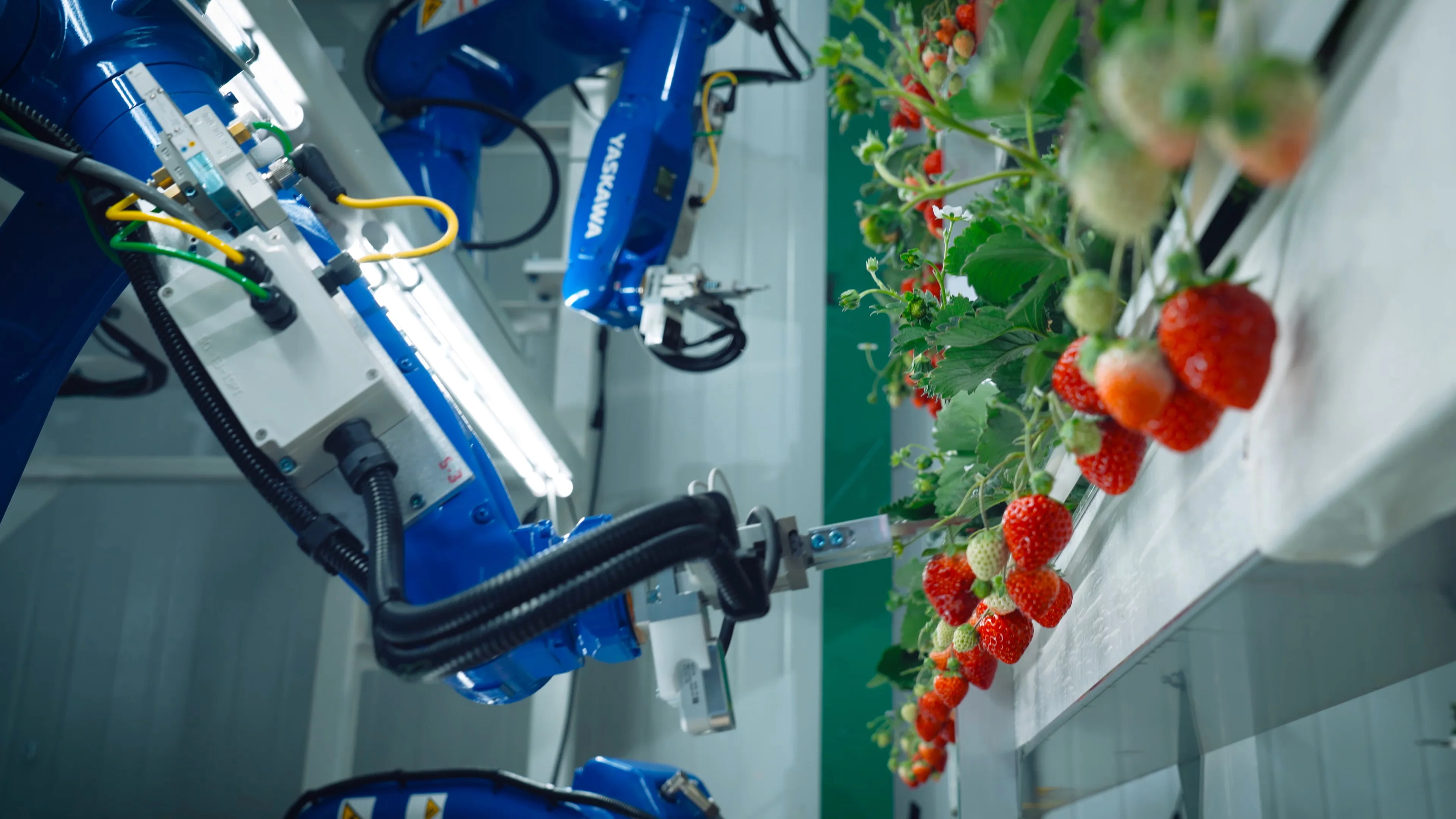 What’s NEXT? En öppen allt-i-ett teknikplattform för utveckling av avancerade robotsystem
