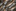 /contentassets/efda4a376f2b4dba8e03b0e76ccfffcc/lesjofors_herr_170607-0668.jpg