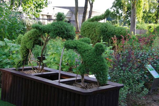 En bild som visar v&auml;xt, tr&auml;dg&aring;rd, utomhus, krukv&auml;xt

AI-genererat inneh&aring;ll kan vara felaktigt.