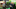/contentassets/fc42af15a98f4e858c07ec6173e65324/traffsaka-moten-i-montern.jpg