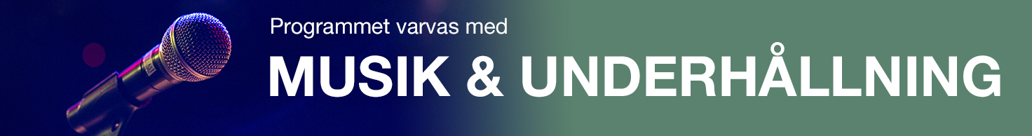 Elmiadalen I Musik Underhållning.jpg