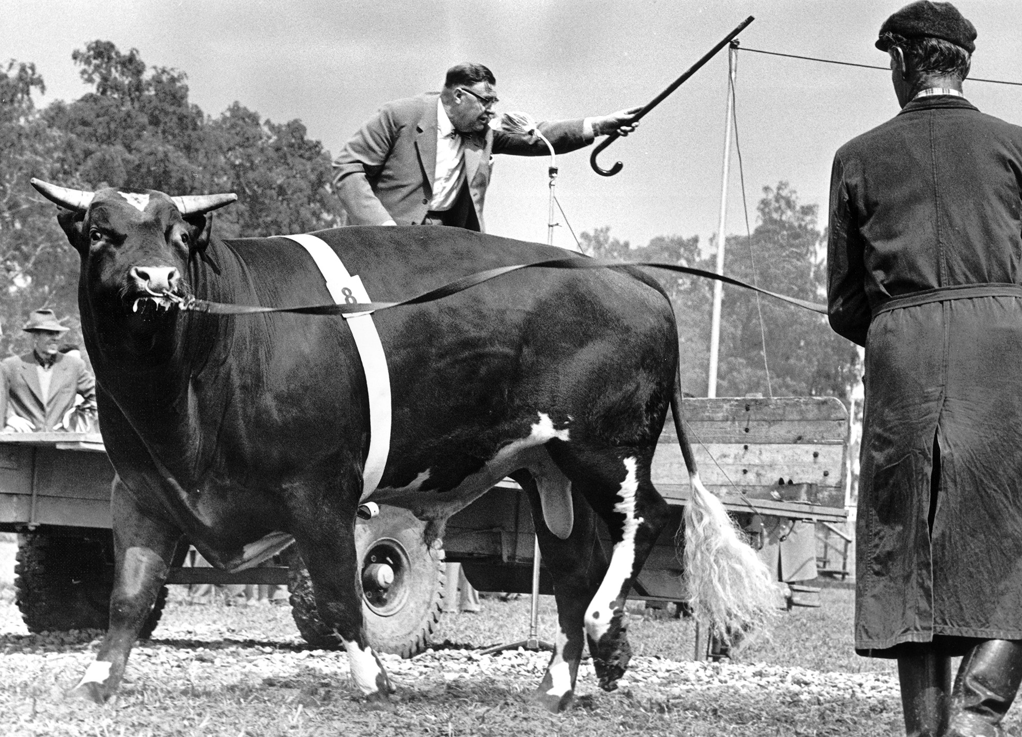 Elmias historia 1960-tal