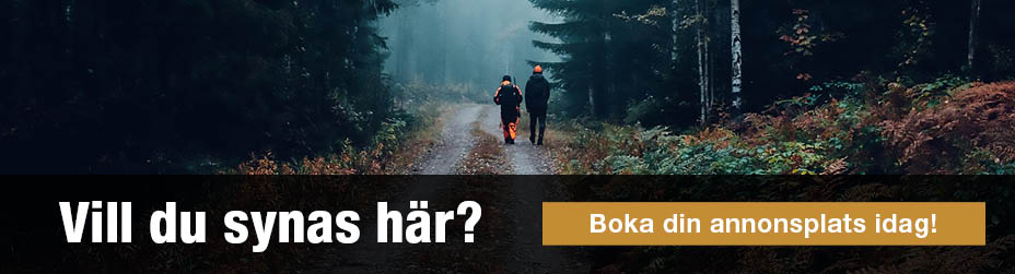 Guld Hero_sve