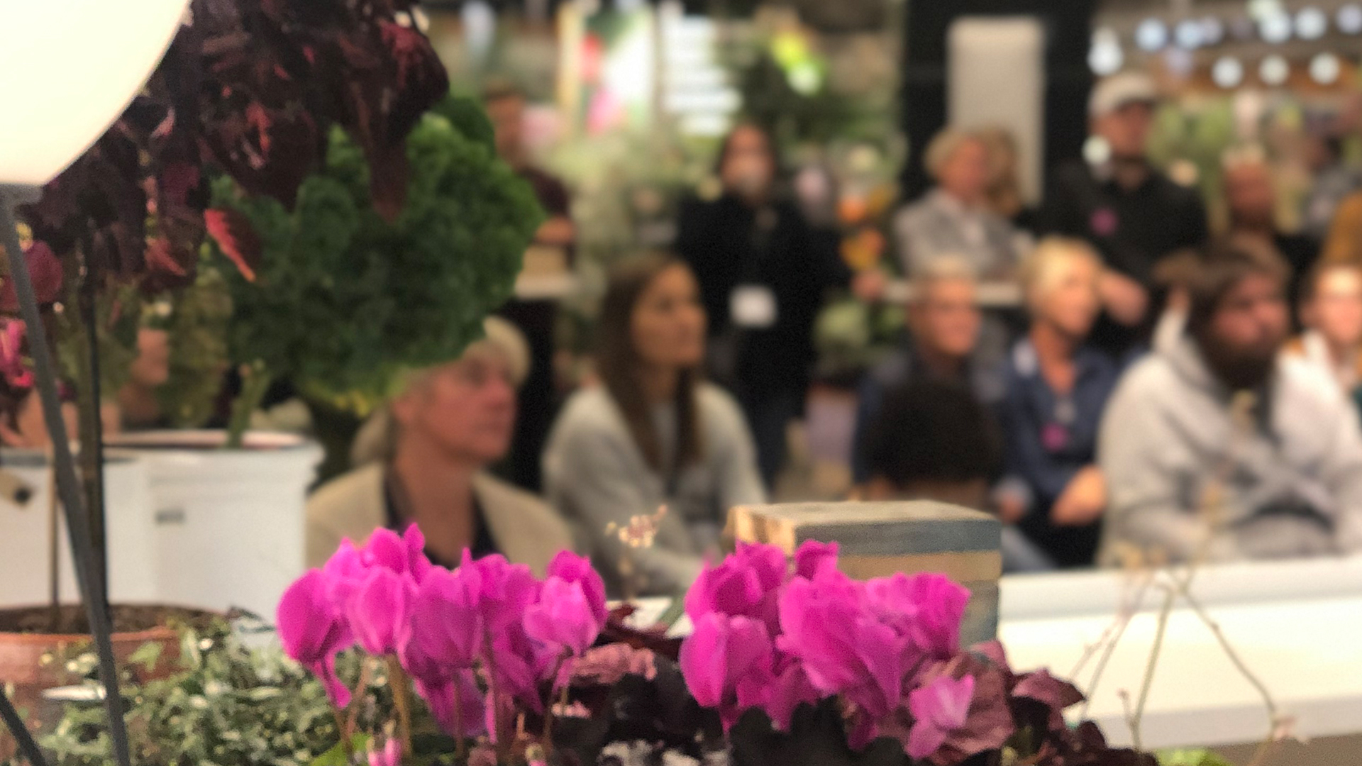 Det bjuds på många inspirerande seminarier