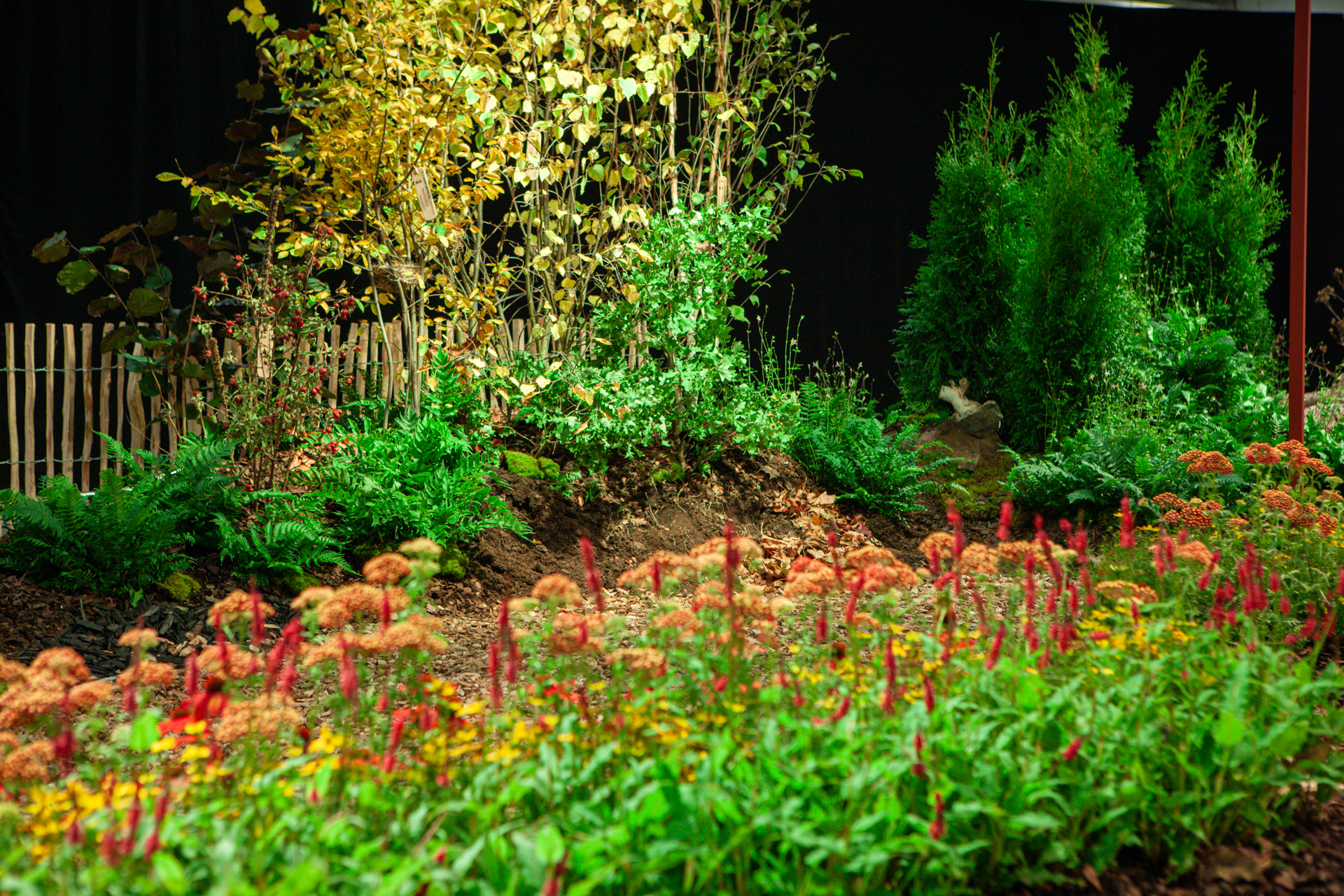 Ett besök i Den Klimatsmarta trädgården