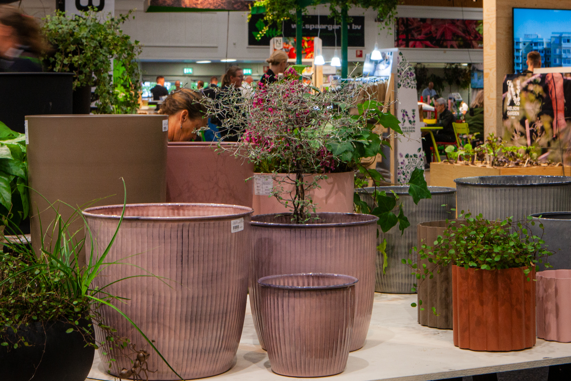 Västanvinden - En fläkt från väst