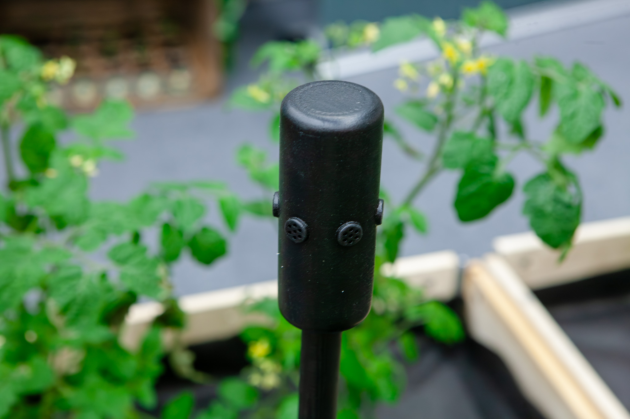 SonicFlora – när växterna själva får en röst