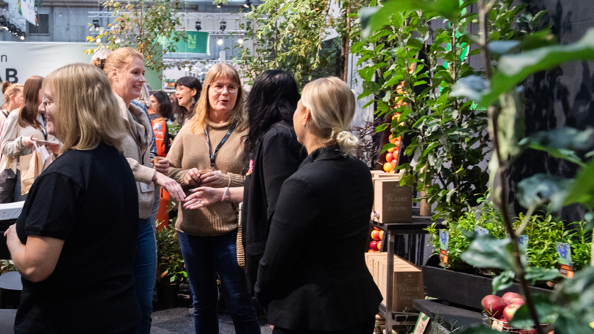 Minglande besökare på Elmia Garden