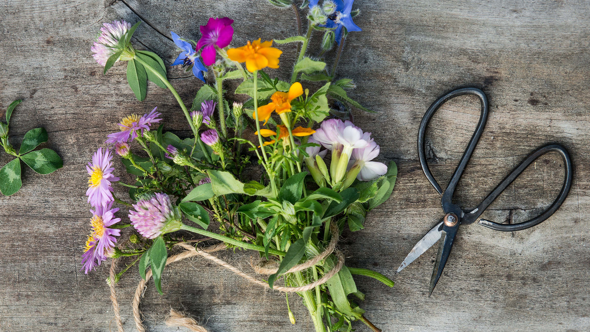 Garden Trends I Flower Crafts I vild bukett.jpg