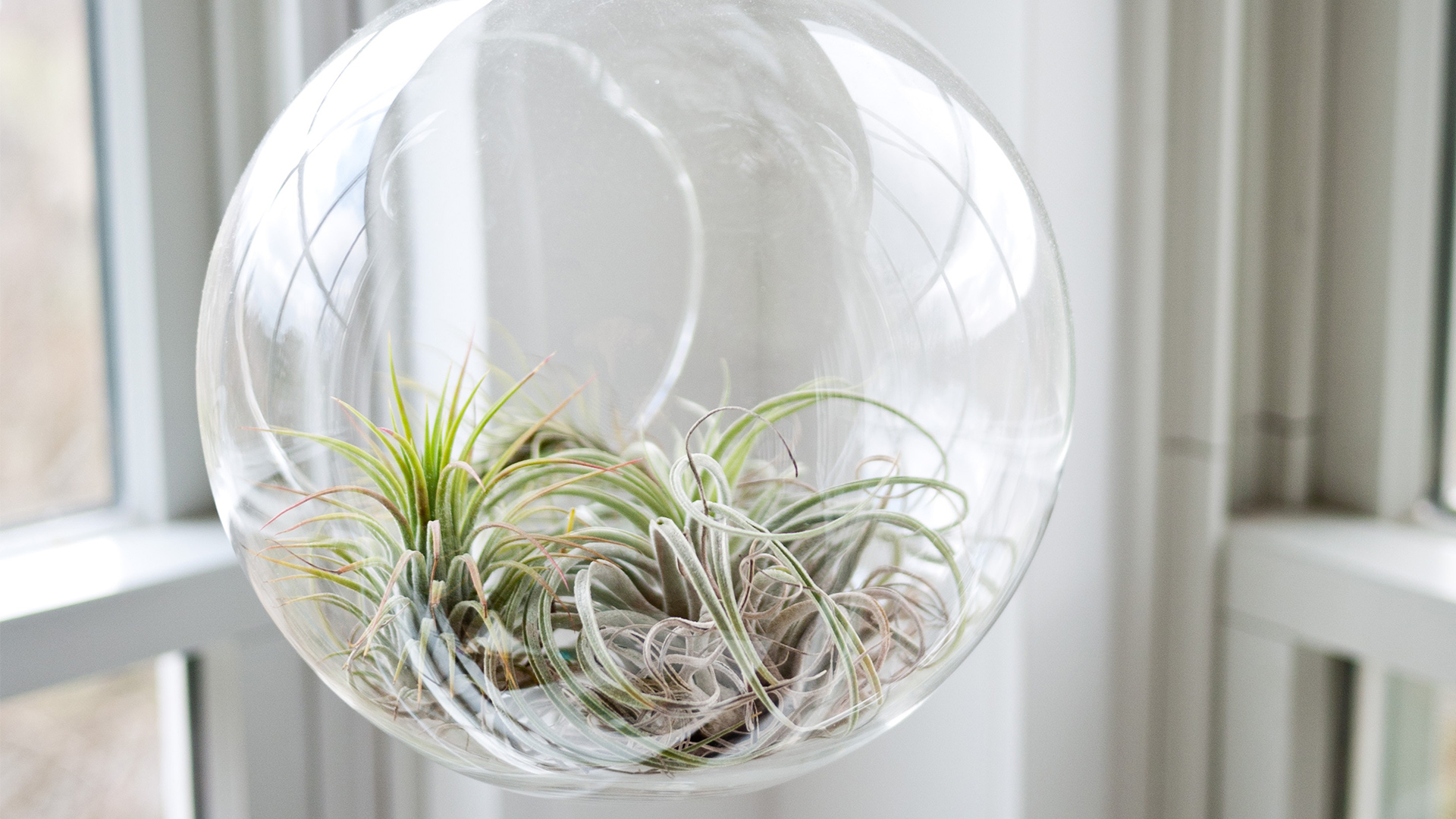 Garden Trends I Future Flora I Glaskruka.jpg