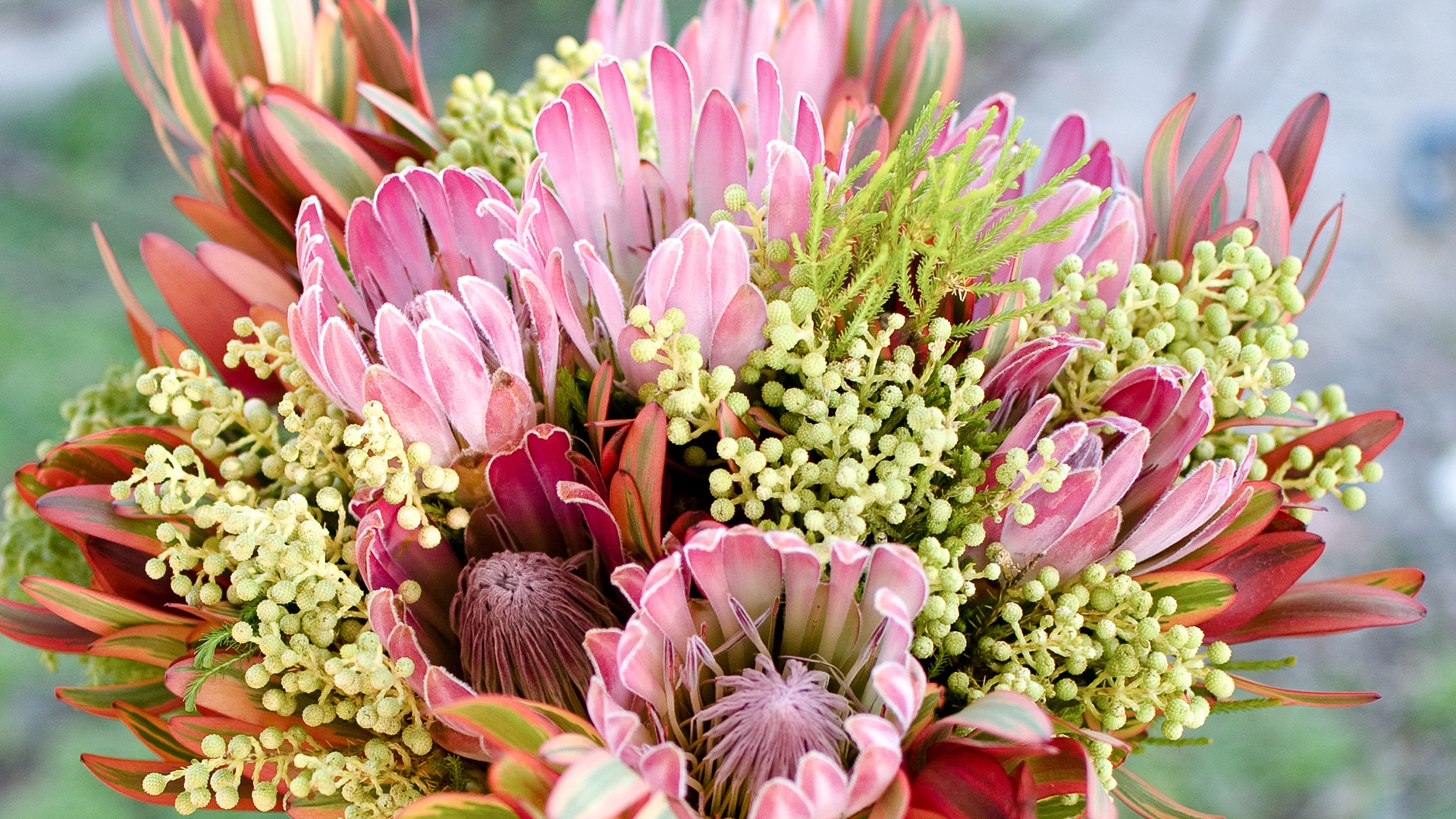 Garden Trends I Garden Expressions I blommor.jpg