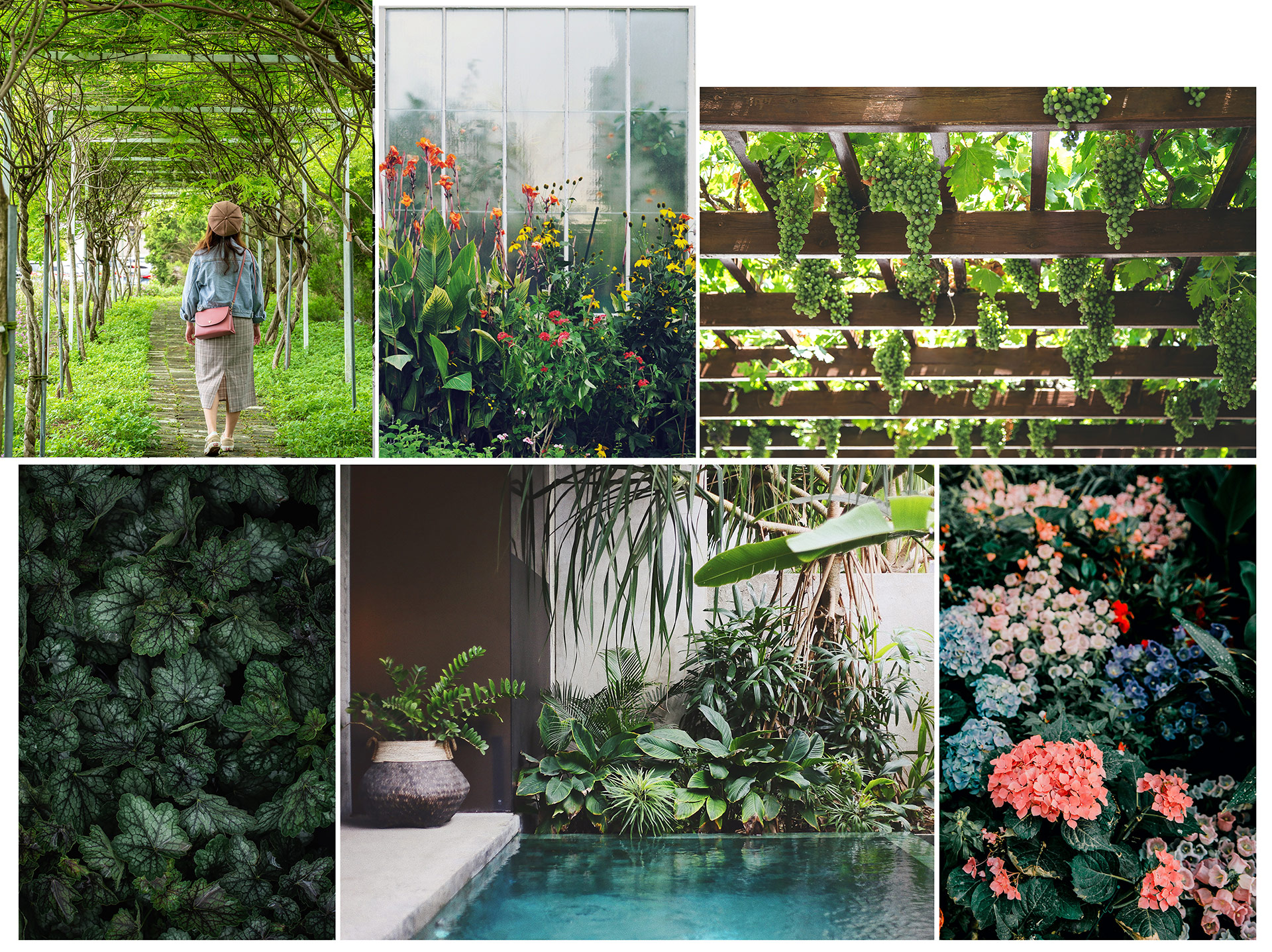 Garden Trends I Eclectic Garden I växter utomhus.jpg