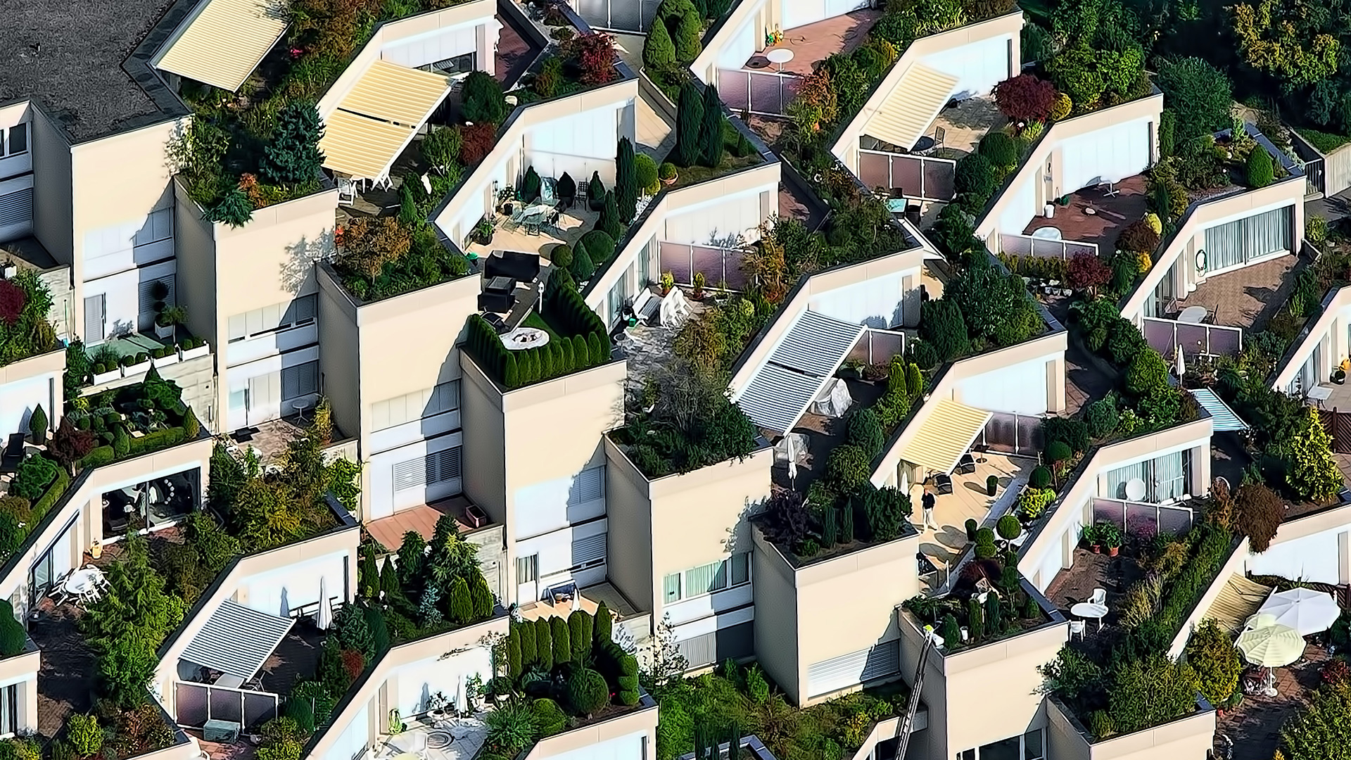 Garden Trends I Happy Hybrid I odla på tak.jpg