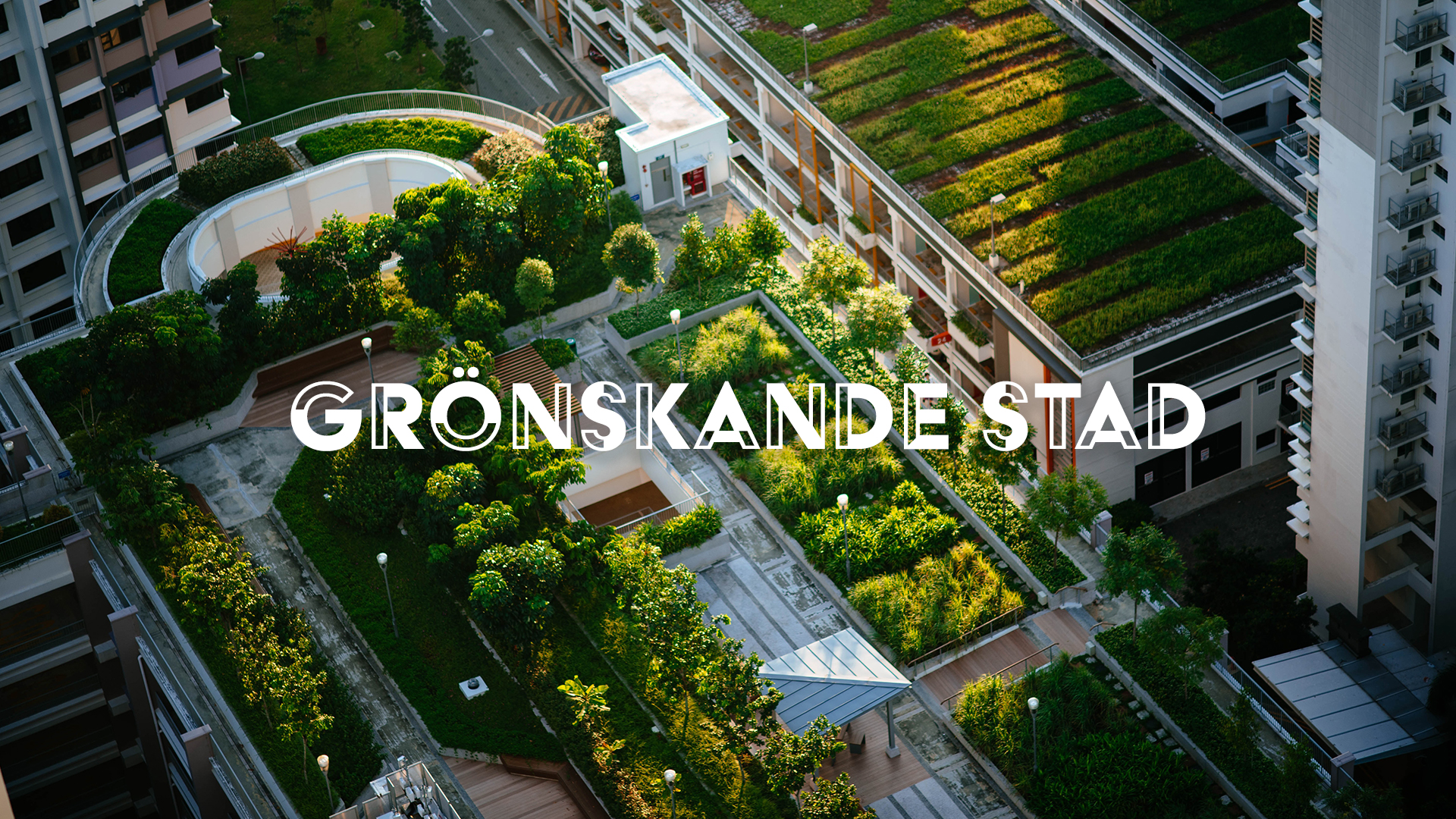 Grönskande stad