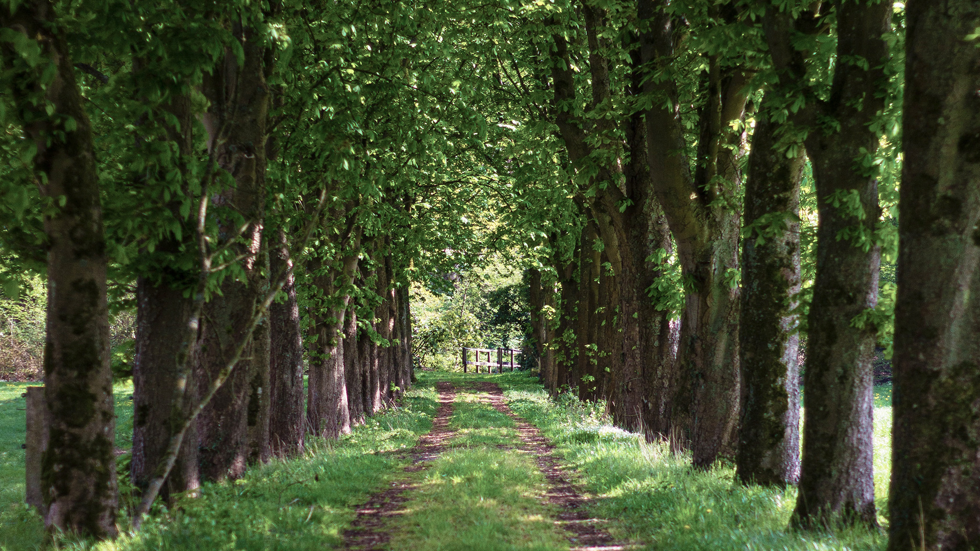 Garden-Trends-Jorden-vi-ärvde-alle.jpg