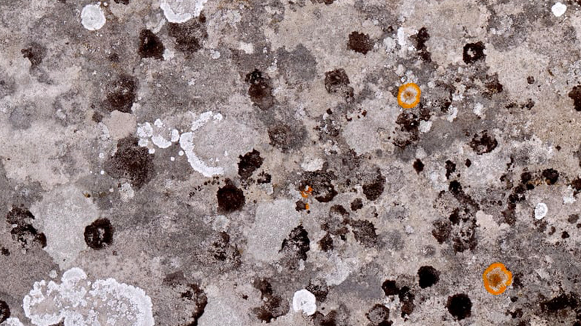 Garden-Trends-Jorden-vi-ärvde-Material-1.jpg