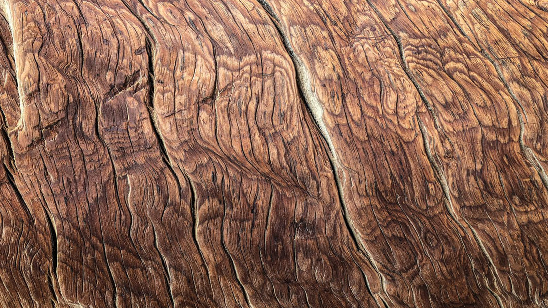 Garden-Trends-Jorden-vi-ärvde-Material-10.jpg