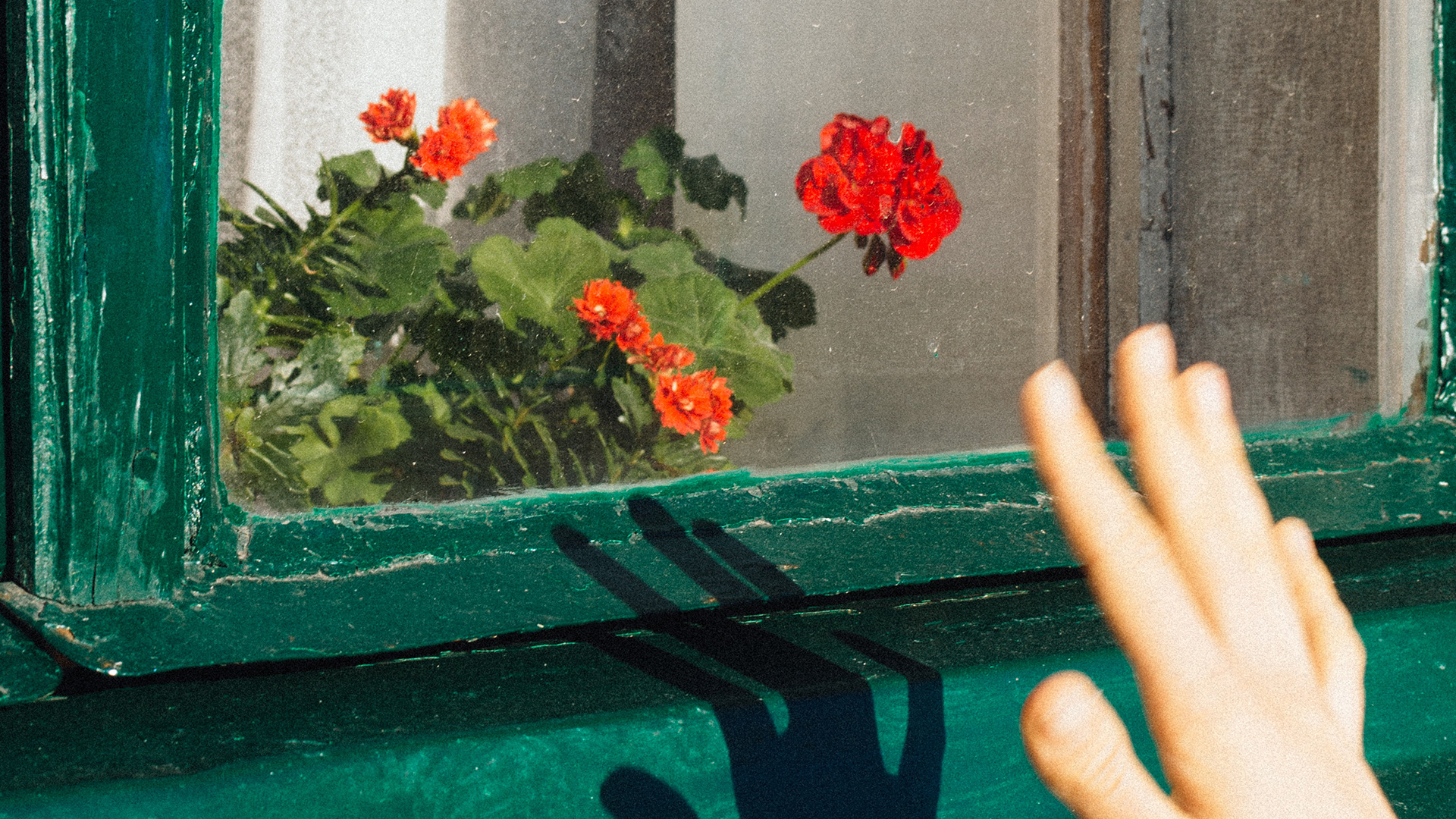 Garden-Trends-Lust-och-längtan-pelargon.jpg